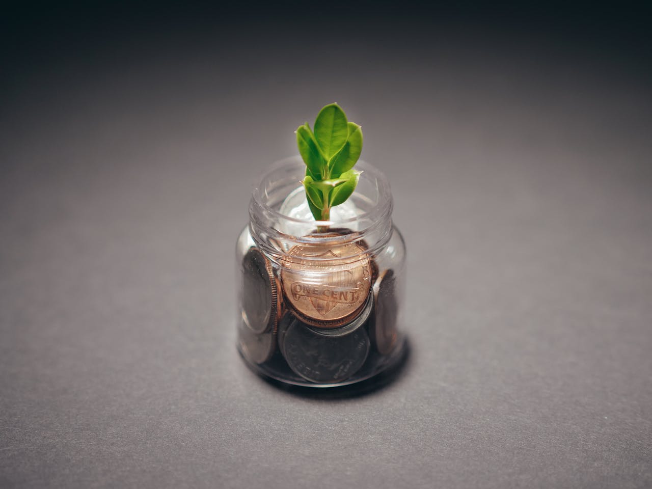 heros-img Green plant growing from a jar filled with coins, symbolizing financial growth and investment.